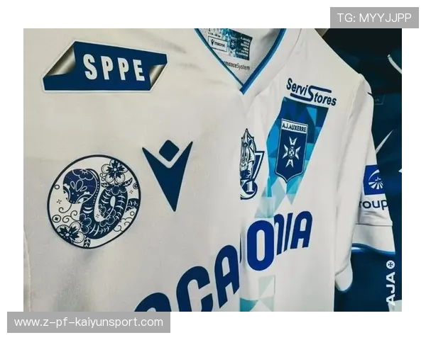 俱乐部在球迷服务体系上推出数字化改造，职业体育俱乐部的球迷产品有哪些